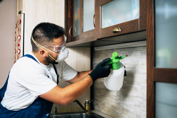 Best Wasp Removal Services  in Stillwater, OK