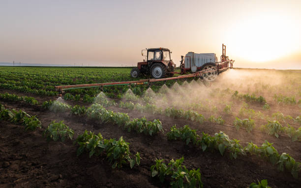 Best Pest Removal Services  in Stillwater, OK