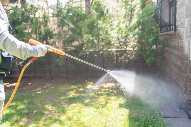 Best Affordable Pest Control Services  in Stillwater, OK