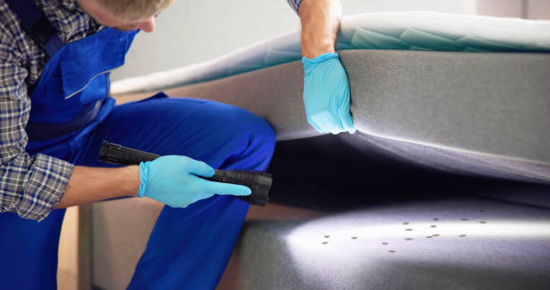 Best Mosquito Control Services  in Stillwater, OK
