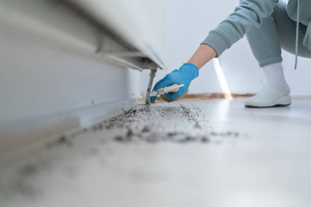 Wildlife Control Services in Stillwater, OK