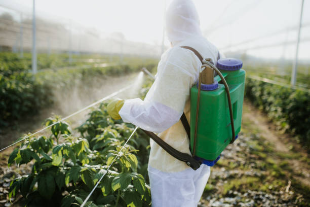 Best Local Pest Control Services  in Stillwater, OK